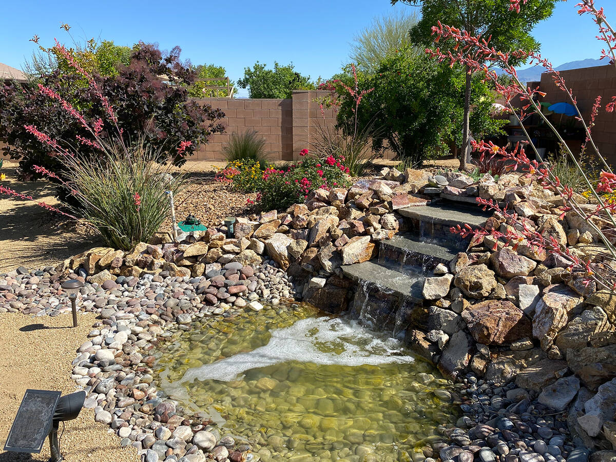 There was a lot to take in during this year's Landscape Tour, with a variety of interesting lay ...