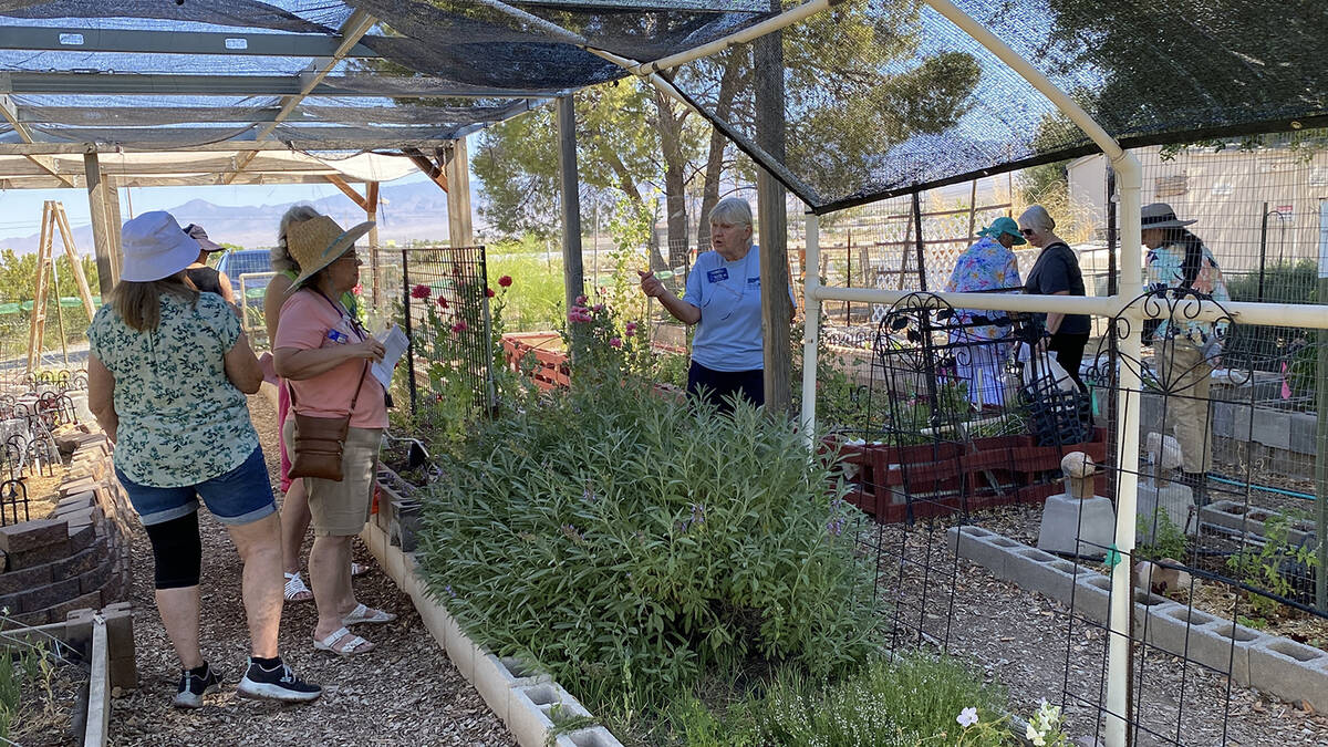 The Pahrump Valley Garden Club's 18th Annual Landscape Tour. (Robin Hebrock/Pahrump Valley Times)