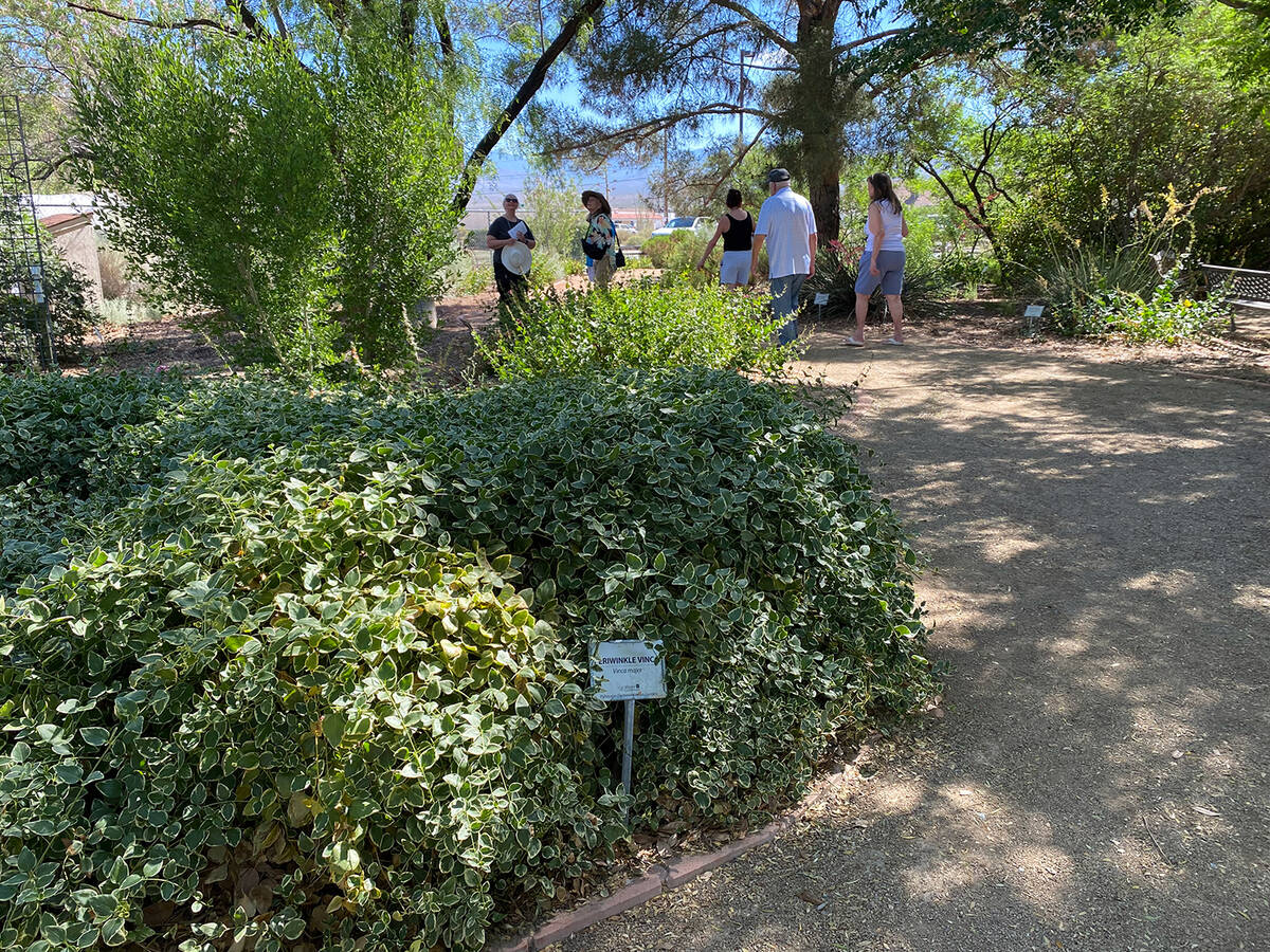 The Pahrump Valley Garden Club's 18th Annual Landscape Tour. (Robin Hebrock/Pahrump Valley Times)