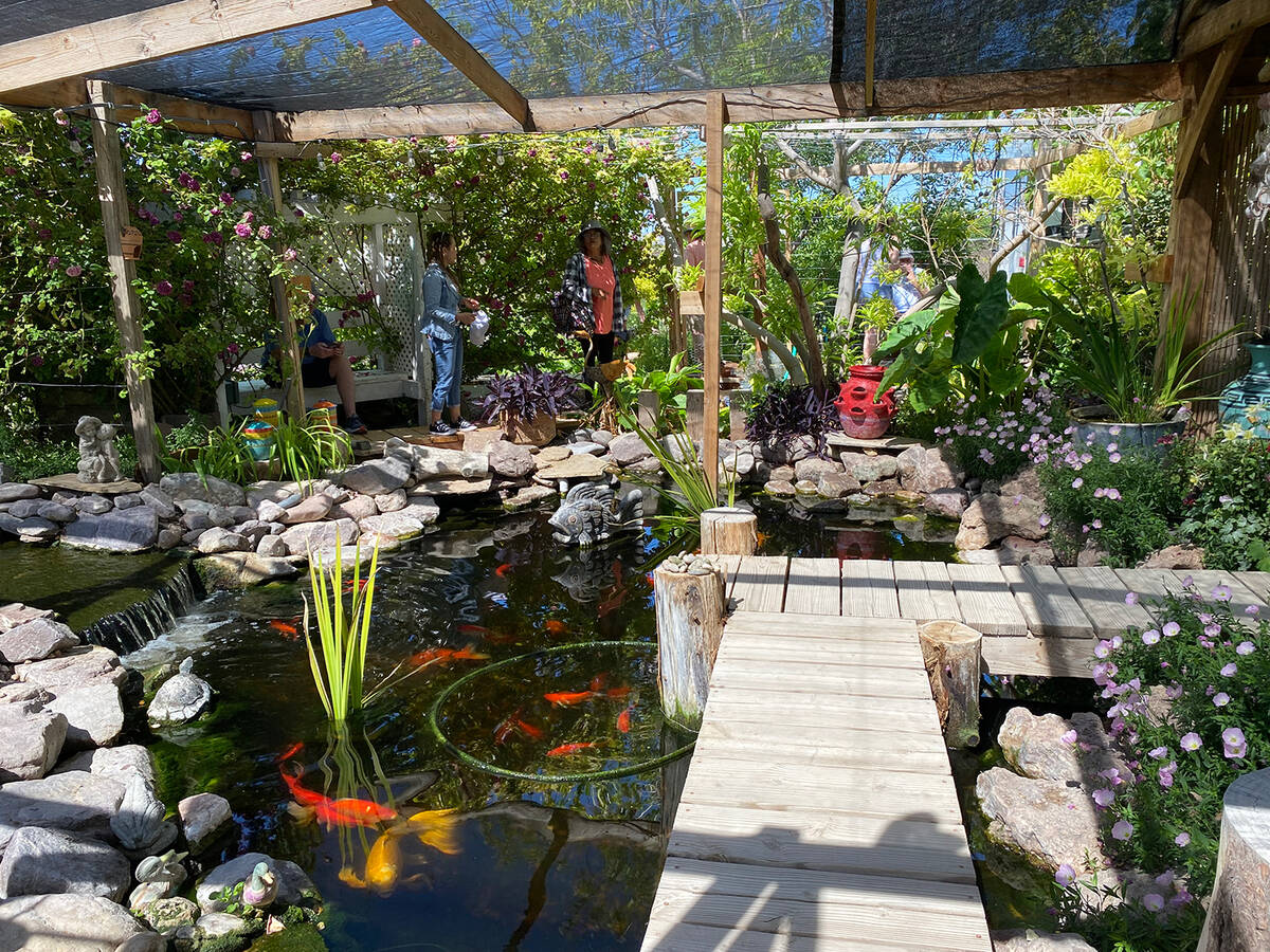 The Pahrump Valley Garden Club's 18th Annual Landscape Tour was an immersive experience for att ...