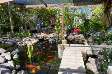 The Pahrump Valley Garden Club's 18th Annual Landscape Tour was an immersive experience for att ...