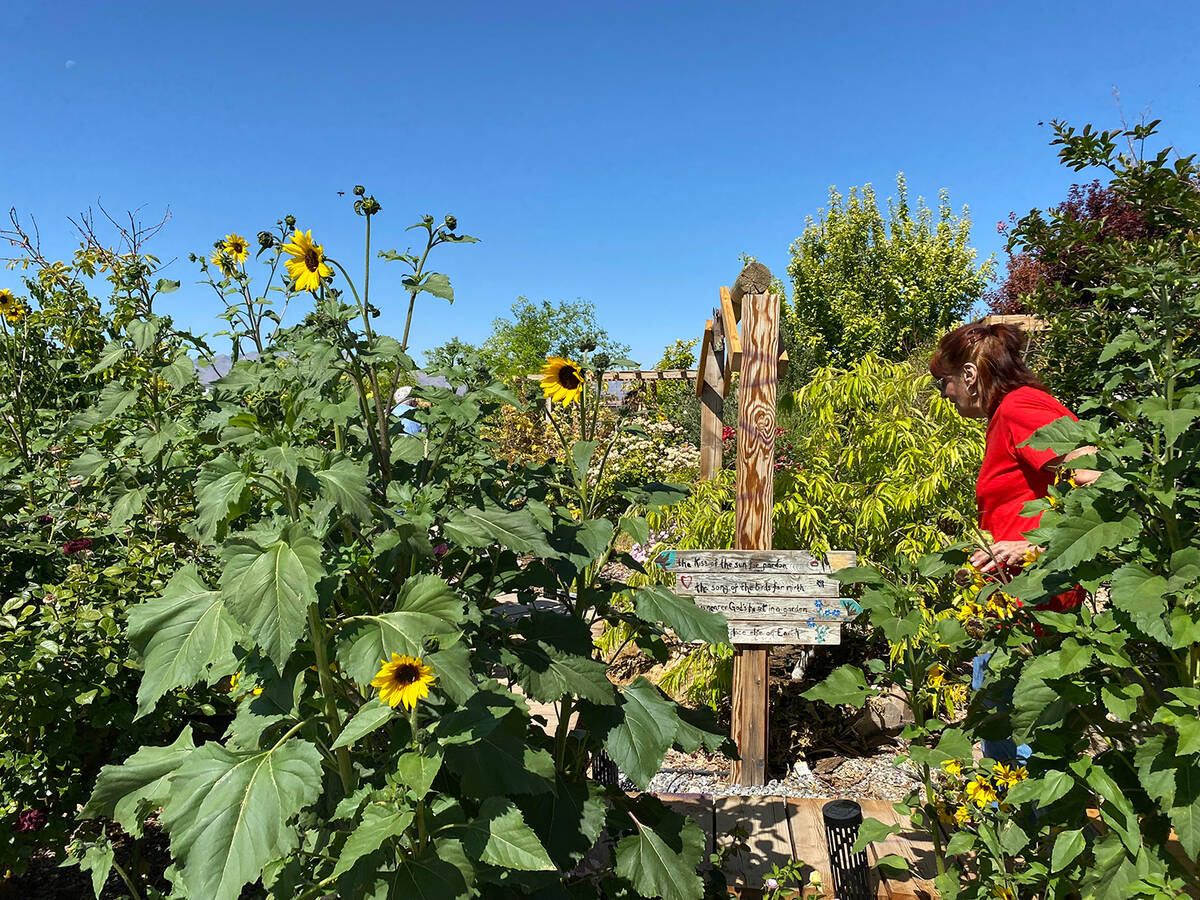 The Pahrump Valley Garden Club's 18th Annual Landscape Tour. (Robin Hebrock/Pahrump Valley Times)