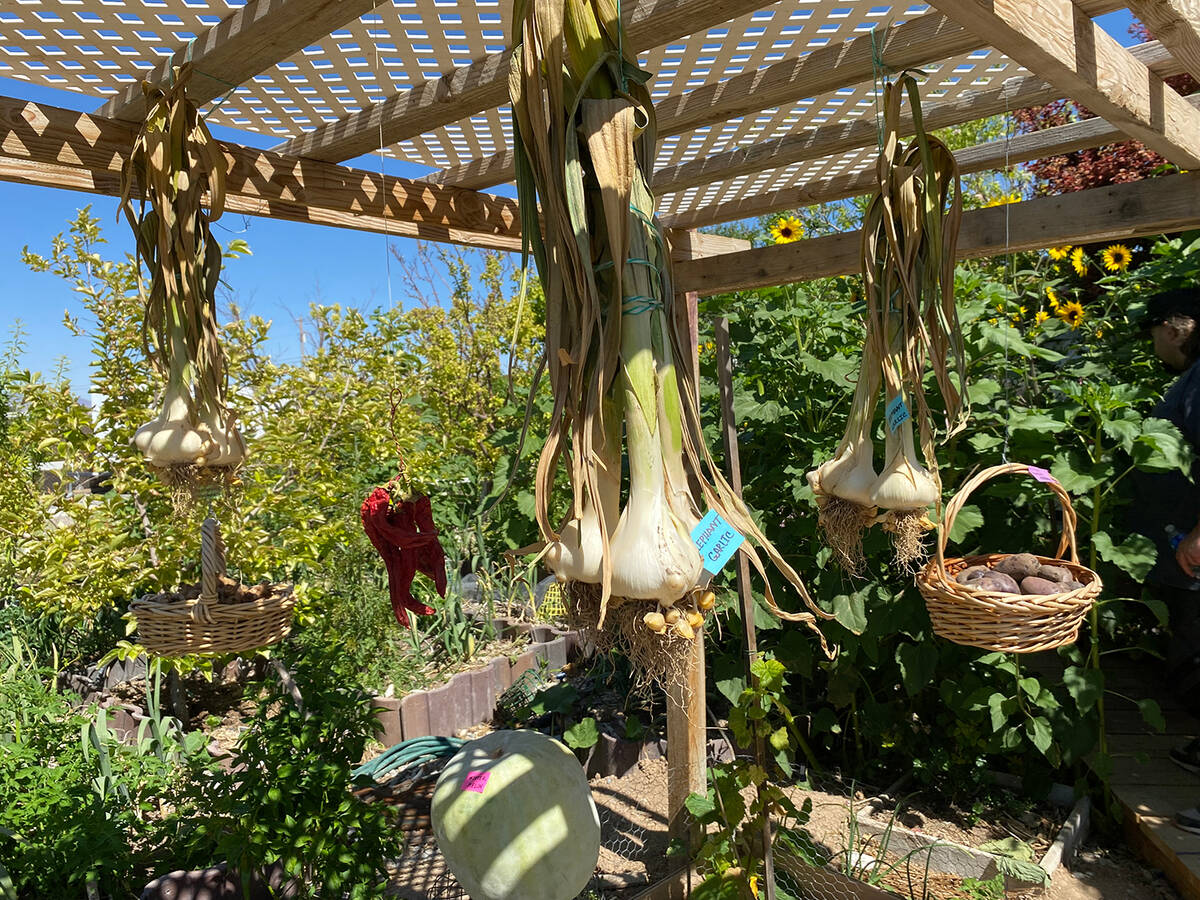 The Pahrump Valley Garden Club's 18th Annual Landscape Tour. (Robin Hebrock/Pahrump Valley Times)