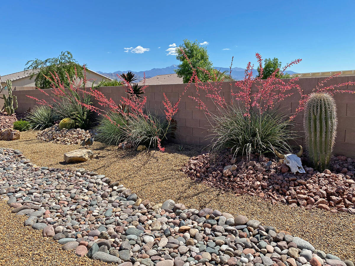 The Pahrump Valley Garden Club's 18th Annual Landscape Tour. (Robin Hebrock/Pahrump Valley Times)