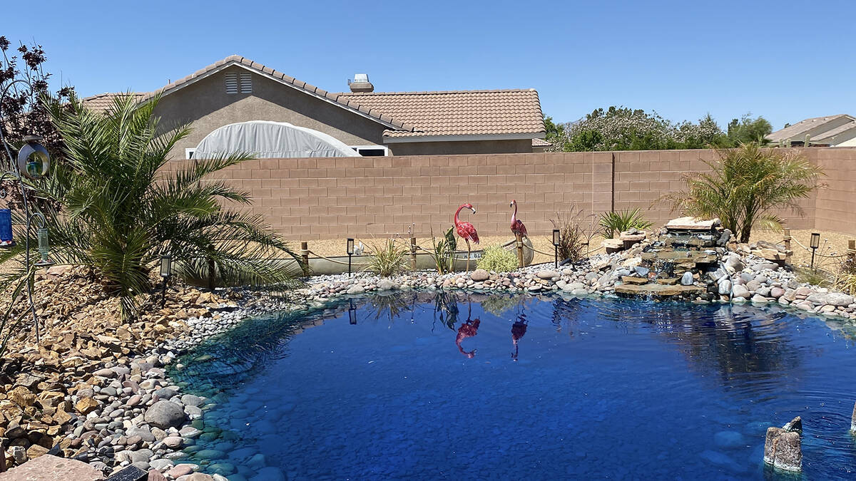 Site six on the Pahrump Landscape Tour offered a serene lagoon and trickling waterfall, along w ...
