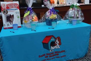 Dawg House Rescuers' Family Fun Day Event this weekend will feature raffle baskets and many mor ...