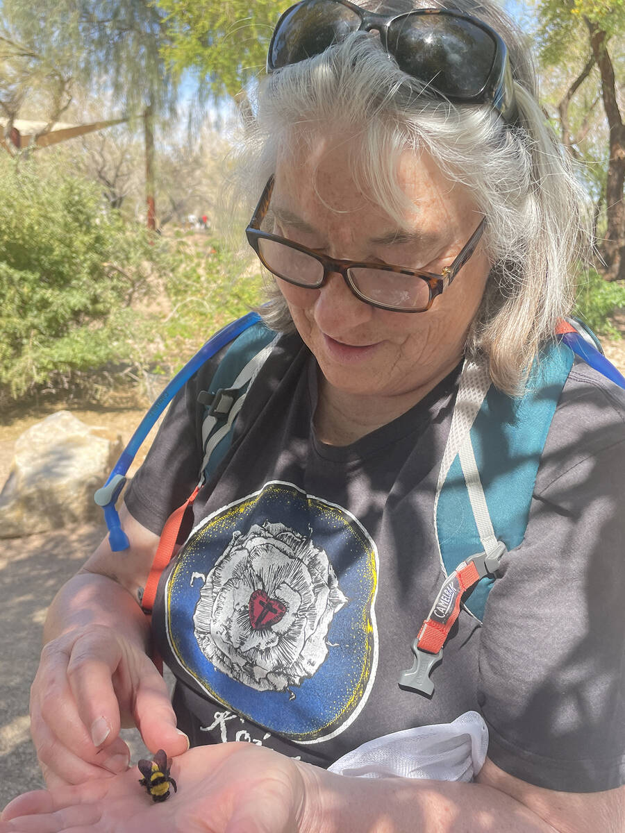 At a Las Vegas training event last spring, this volunteer holds a Sonoran bumblebee, Bombus Pen ...