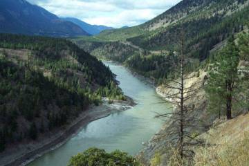 British Columbia's Frasier River is a fisherman's mecca as sturgeon, some over six feet in leng ...