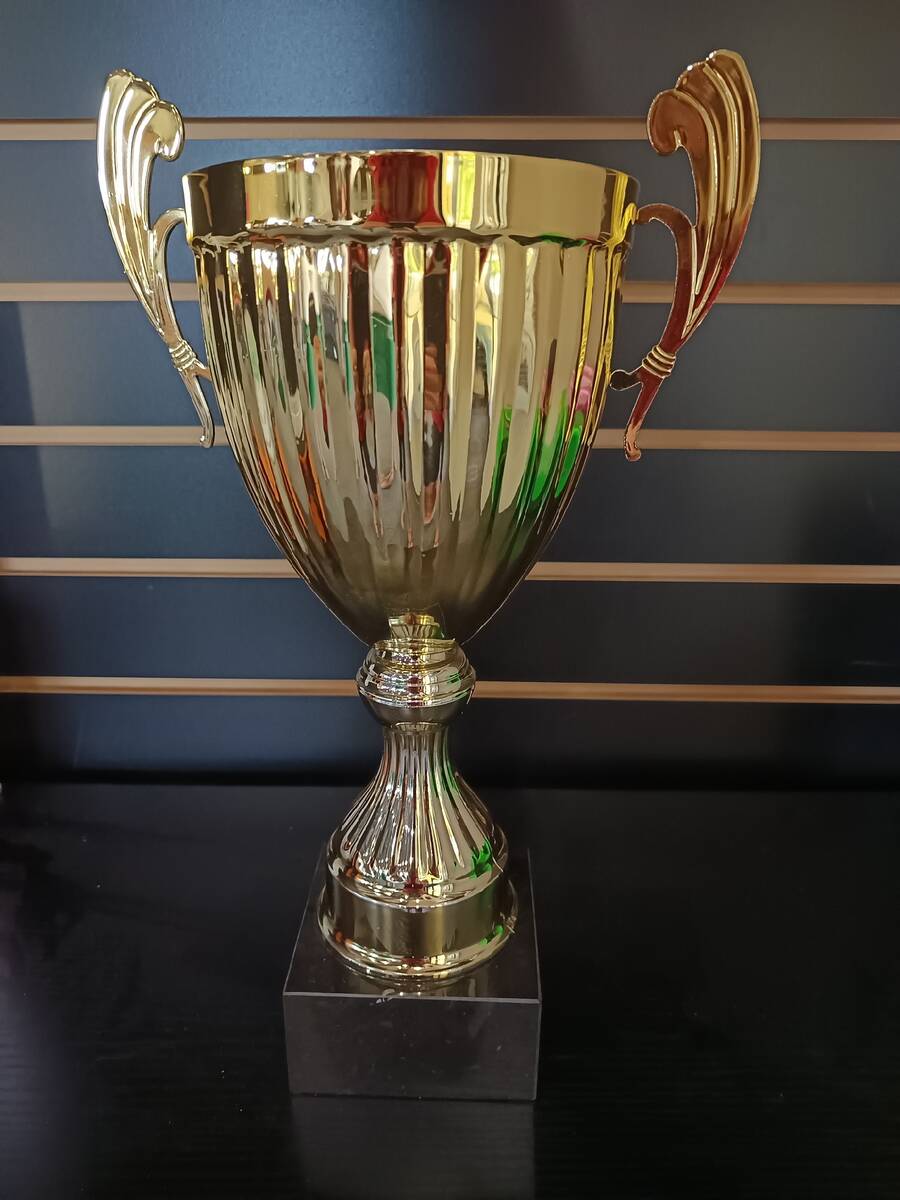 Last year's Women’s Southern Nevada Golf Association (WSNGA) Net Championship trophy displaye ...