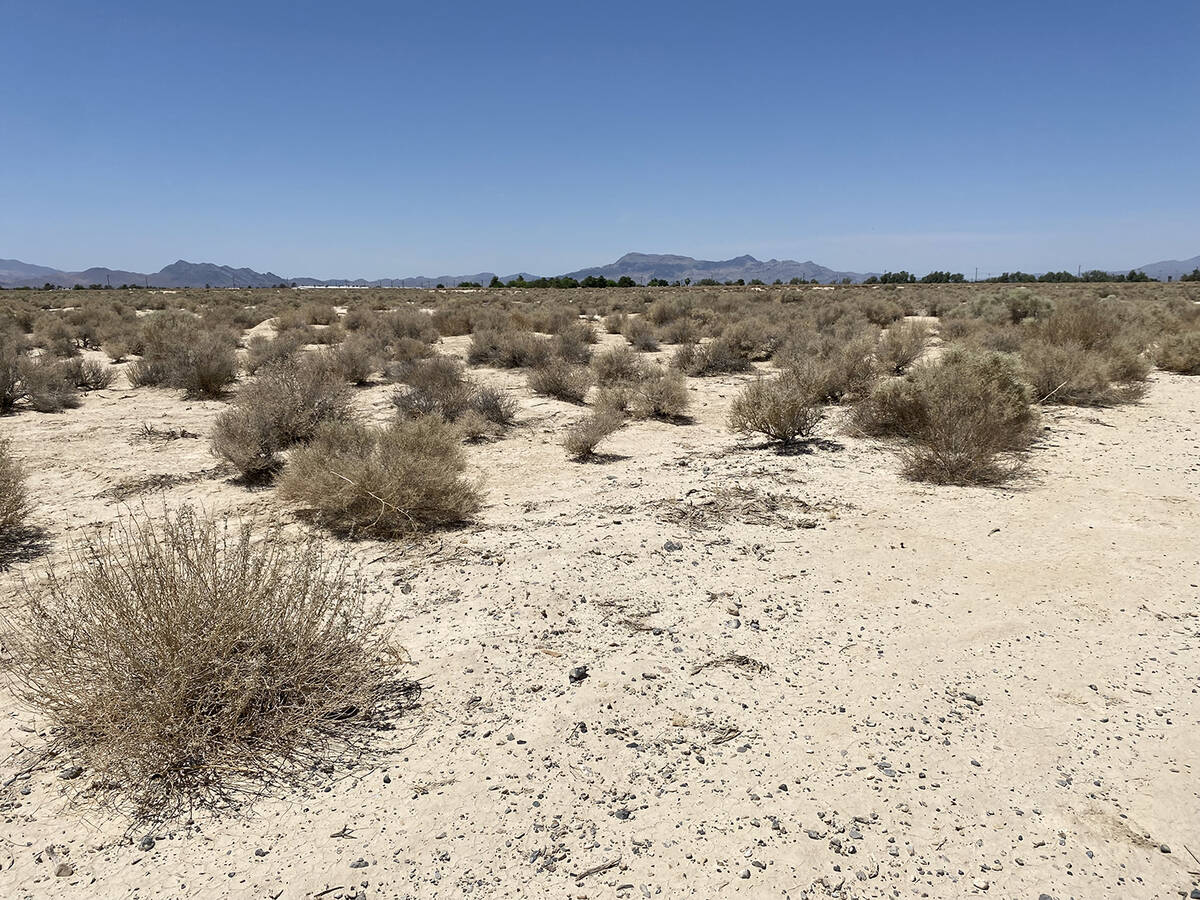 There are thousands of utility-challenged parcels in the Pahrump Valley, what have come to be k ...