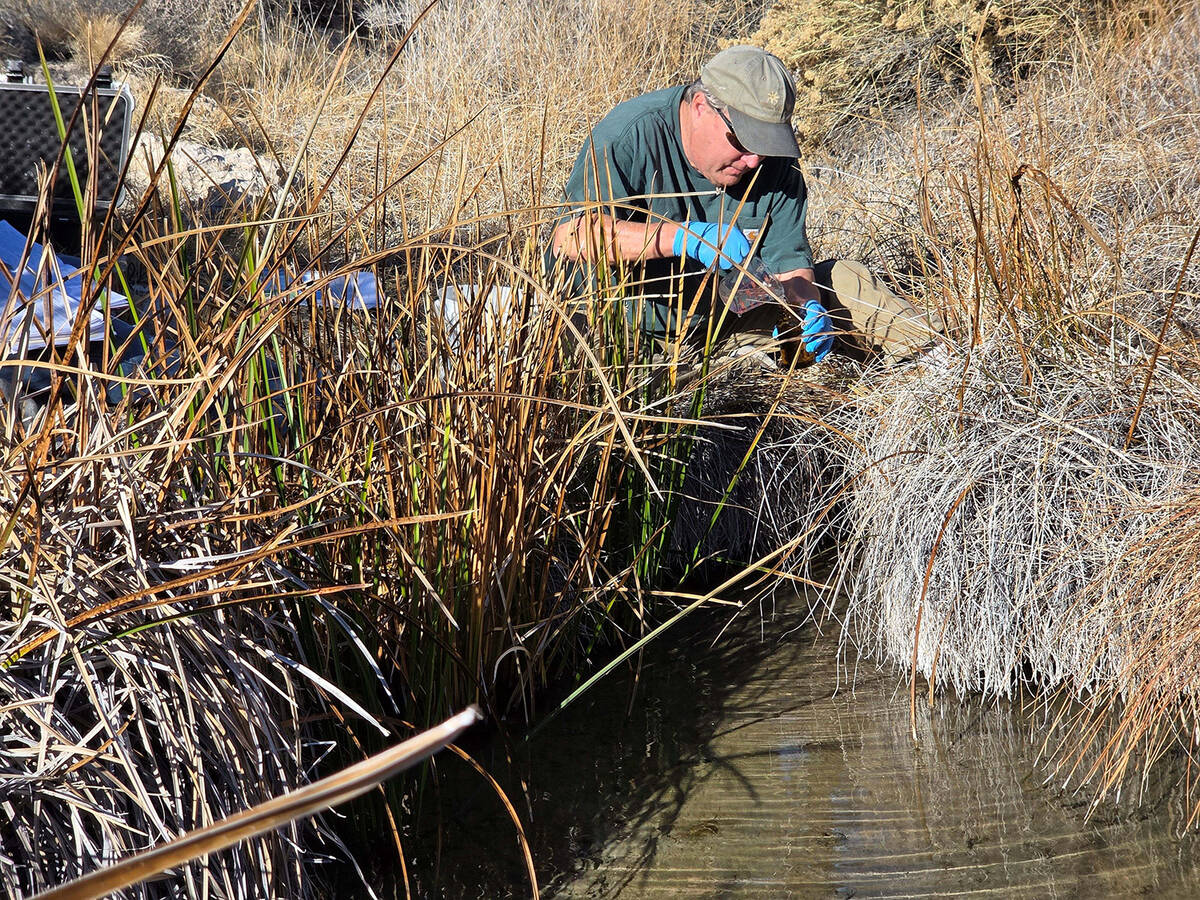 The results of the 2025 Nye County Tritium Sampling and Monitoring Program have been released a ...
