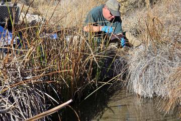 The results of the 2025 Nye County Tritium Sampling and Monitoring Program have been released a ...