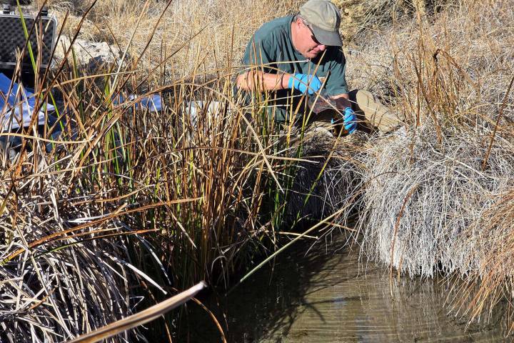 The results of the 2025 Nye County Tritium Sampling and Monitoring Program have been released a ...