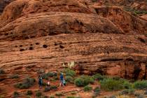 As part of its 2026 fee-free days, certain locations managed by the Bureau of Land Management s ...