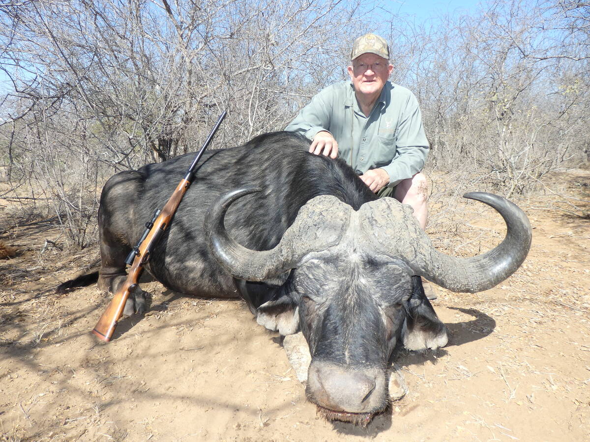 Wayne Bliss poses with his African Cape Buffalo, which is fearless and ferocious when cornered ...