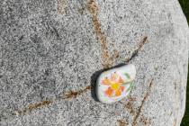 Create a charming little surprise for someone to find right here in Pahrump at the Moose Lodge ...