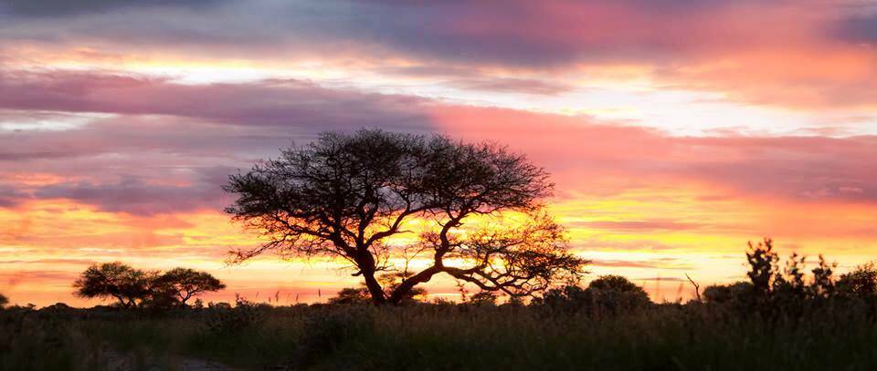 The solitude of nature, whether hunting on mountain, desert or plain remind us of our place in ...