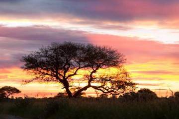 The solitude of nature, whether hunting on mountain, desert or plain remind us of our place in ...