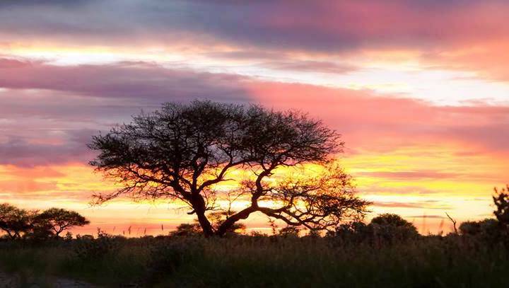 The solitude of nature, whether hunting on mountain, desert or plain remind us of our place in ...