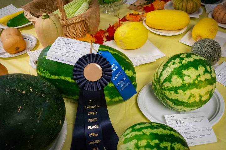The Fall Festival Food and Horticulture Exhibit gives area gardeners, cooks and bakers the chan ...