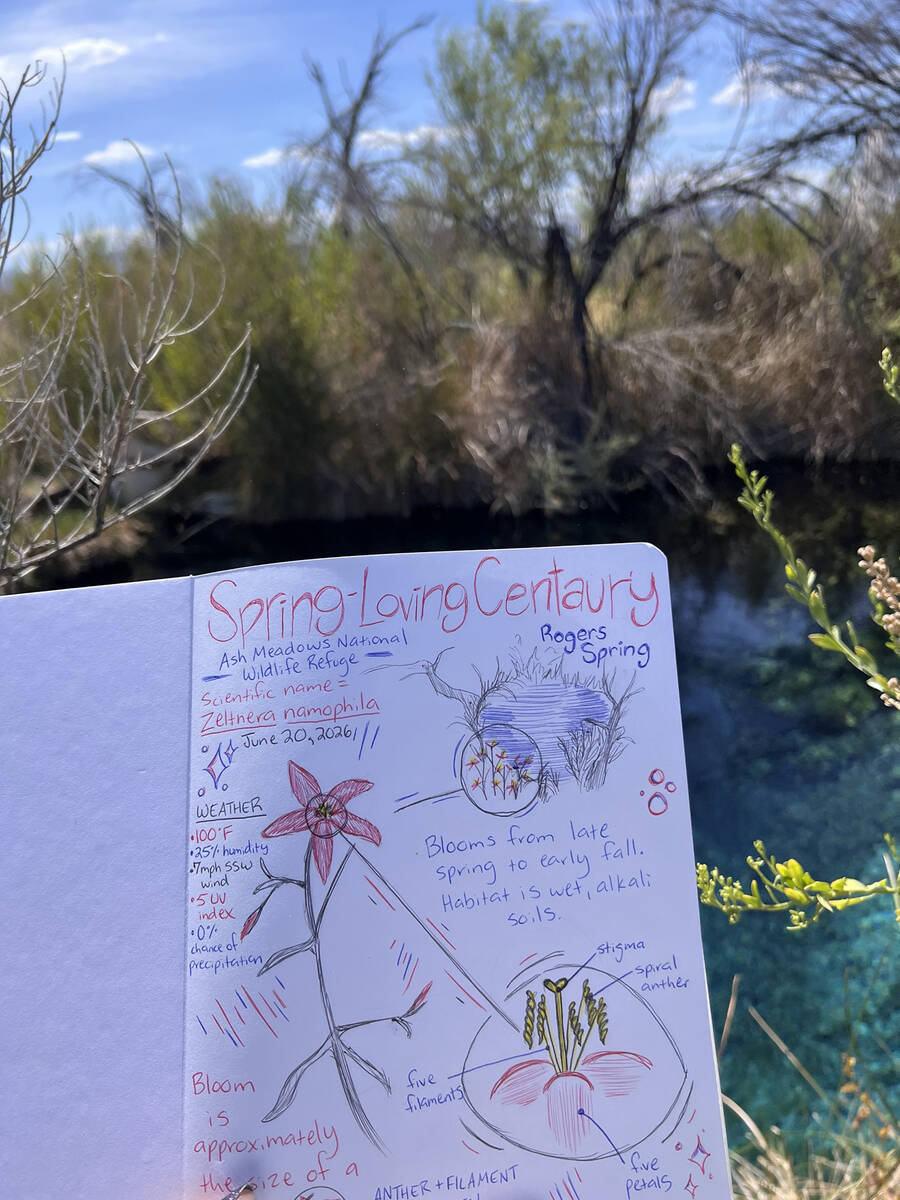 Nature journaling sessions will take place at the refuge on Sept. 12, Oct. 24 and Nov. 14. (Emm ...
