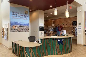 Ash Meadows National Wildlife Refuge is holding various events throughout the fall season this ...