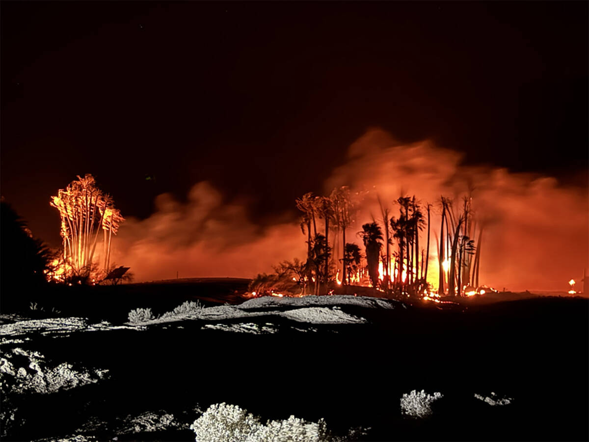 The fire was mainly fueled by kkirts of dead palm fronds on about 80 nonnative palm trees. (NPS ...