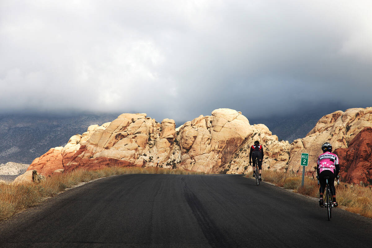 Different activities such as biking, hiking and four-wheel driving are included in the open per ...