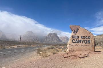 Applications for Special Recreation Permits in Red Rock Canyon National Conservation Area are n ...