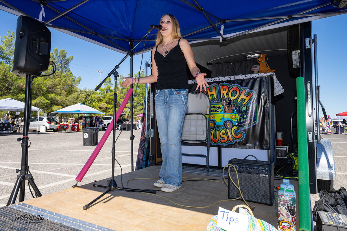 Avery Sampson of the Avery Project singing at the Crafts in Cars Street Fair on Saturday. (John ...
