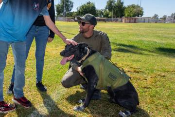 During the visit, children from the school got to pet one of the sheriff's office K-9s. (John C ...