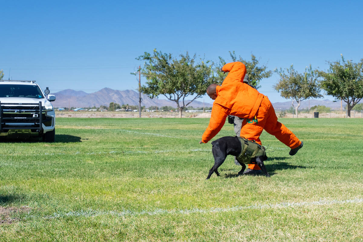 At Petrack Park, the students watched a K-9 demonstration, where they saw the dogs in action. ( ...