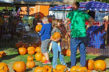 PDOP's Pumpkin Days returns this weekend to Ian Deutch Memorial Park. The annual event has a pu ...