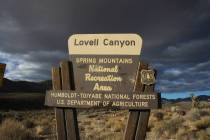 The Humboldt-Toiyabe National Forest announced on Oct. 13 that prescribed burn work in the Love ...