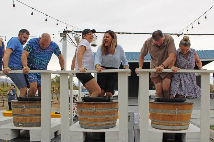 The 2026 Grape Stomp hosted by Charleston Peak Winery took place October 10 and as always, the ...