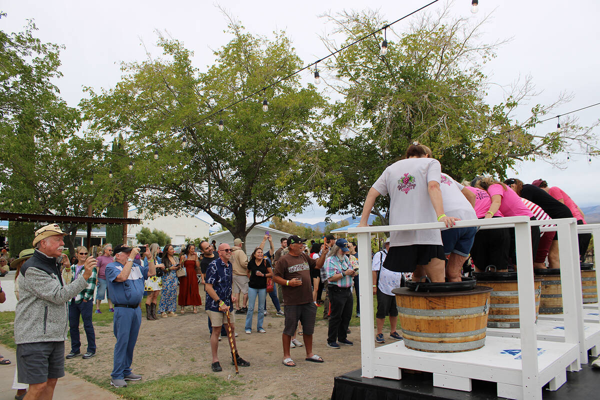 A crowd of Grape Stomp attendees watches and cheers as a round of stomping takes place, many ta ...