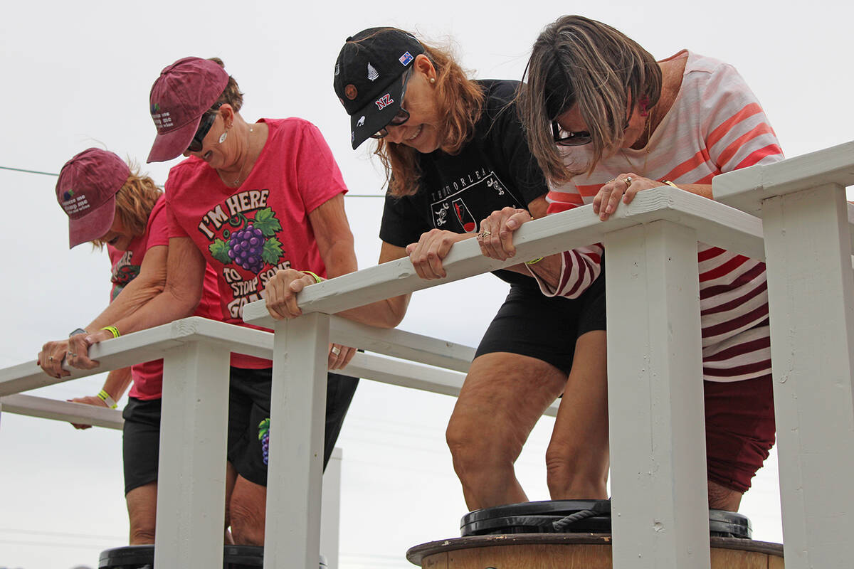 With grins spread across their faces, competitors in the 2026 Grape Stomp got their feet sticky ...