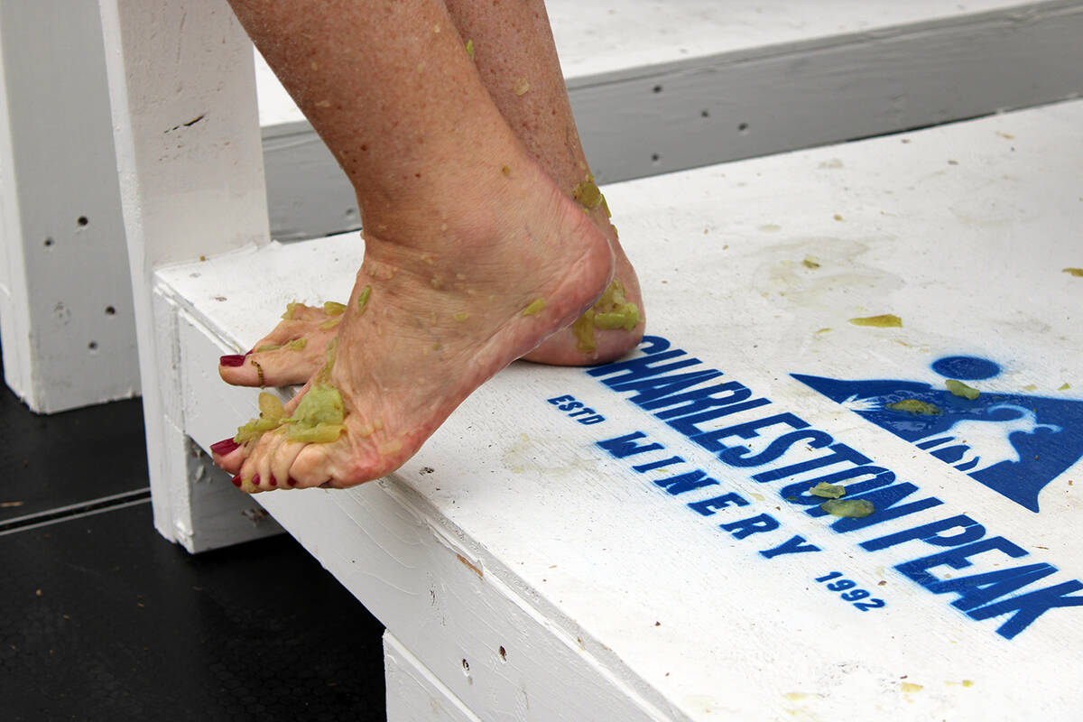 The 2026 Grape Stomp. (Robin Hebrock/Pahrump Valley Times)