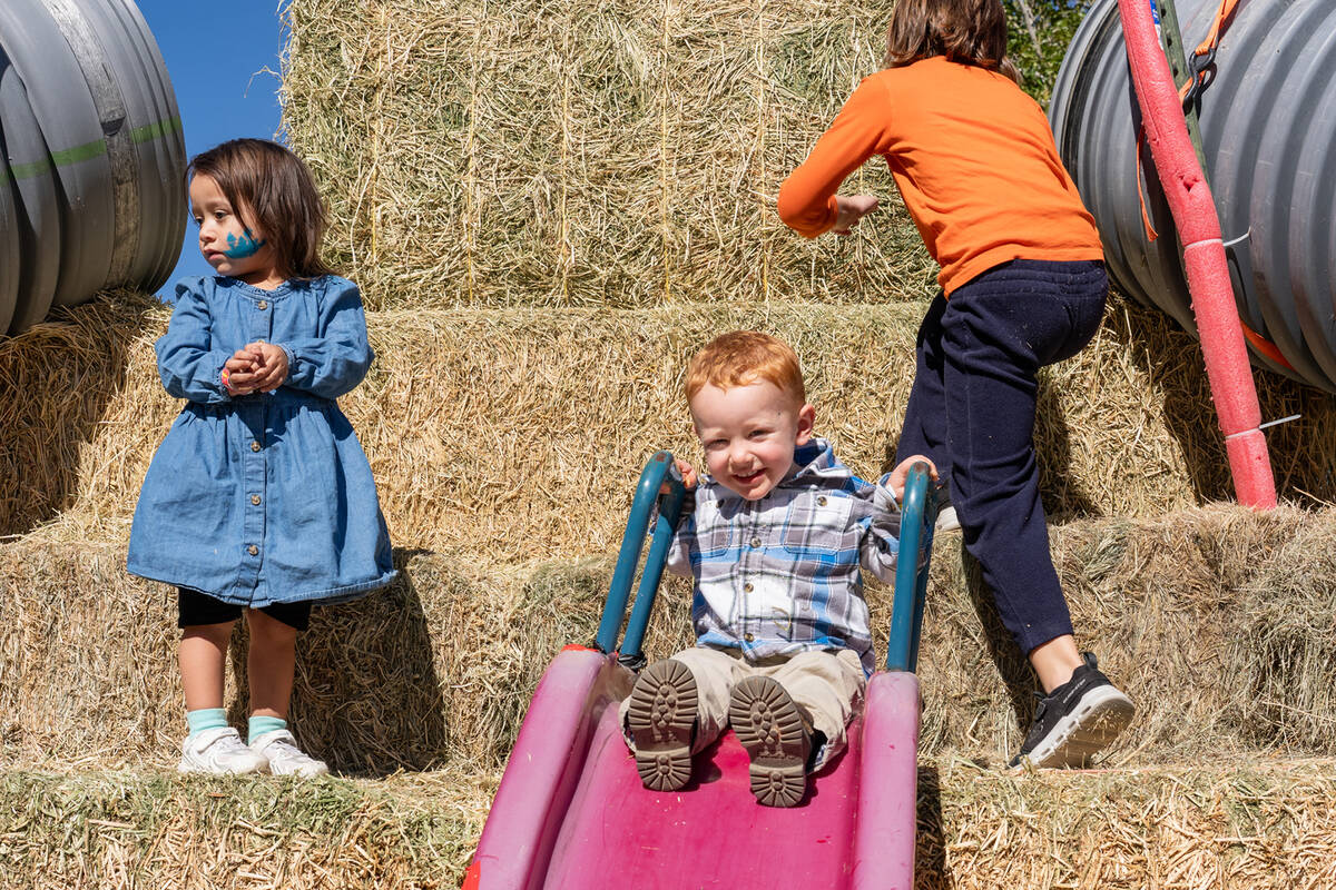 The hay pyramid at Pumpkin Days is a favorite of many youngsters. (John Clausen/Pahrump Valley ...