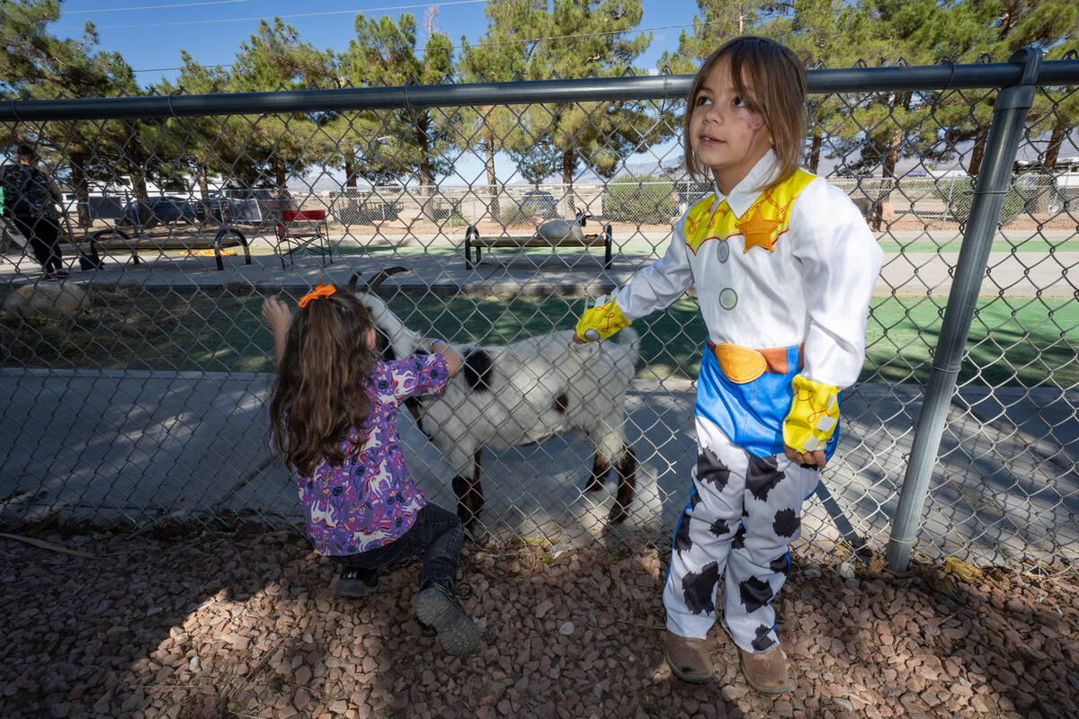 Two Pumpkin Days attendees enjoy the event's petting zoo. (John Clausen/Pahrump Valley Times)